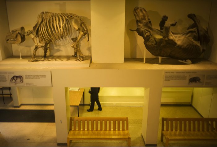 Bristish Museum - London - Great Britain