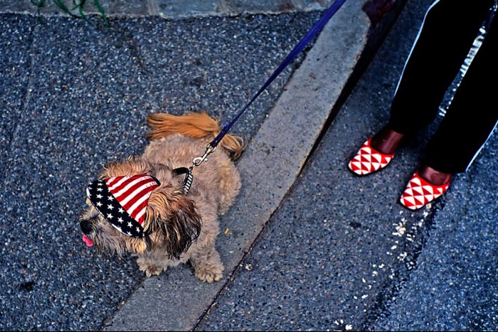 The United States in one month