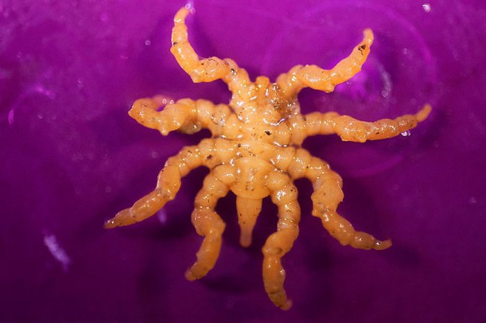 Tales from the Sea: Protecting the oceans