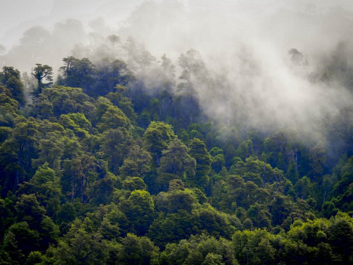 Patagonia, crossing the Andes