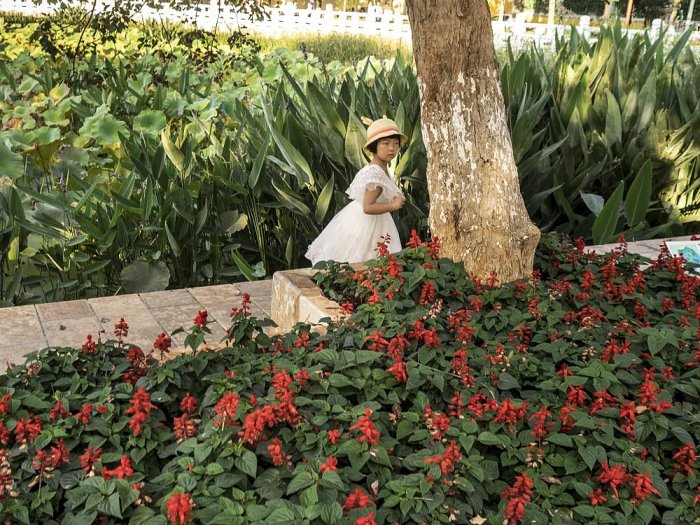 China - Kunming - Yunnan - Green Lake Park